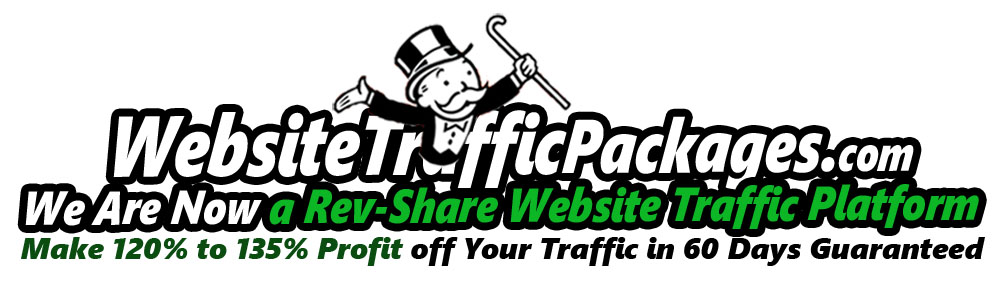 website traffic